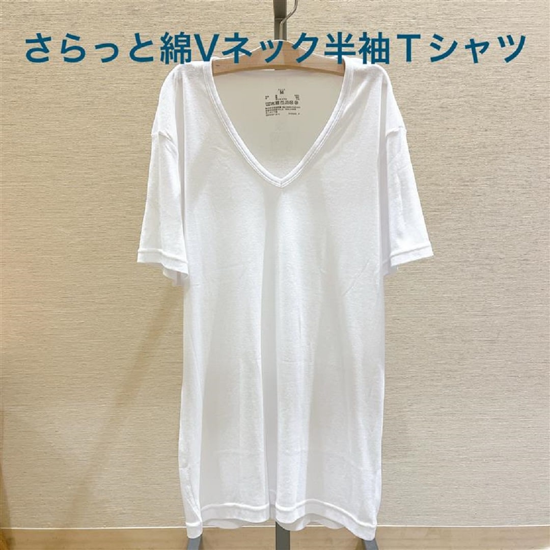 紳士Vネック