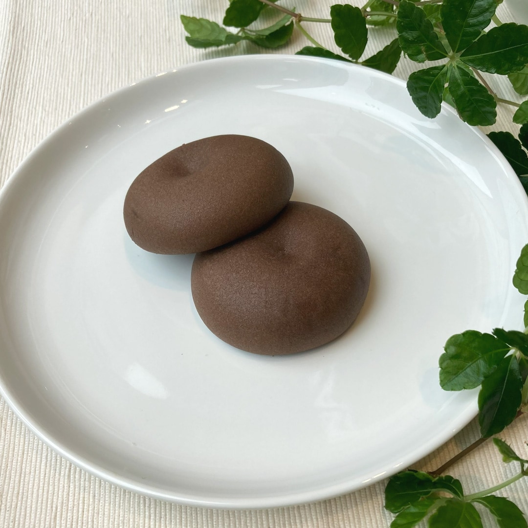 【マルエイガレリア】チョコミン党のおすすめ、ご紹介します｜チョコミント新商品