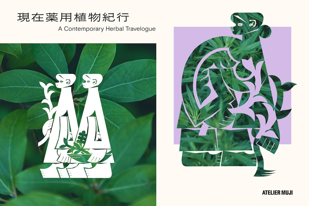 『現在薬用植物紀行』展　メインビジュアル