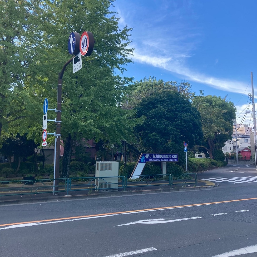 豊な緑