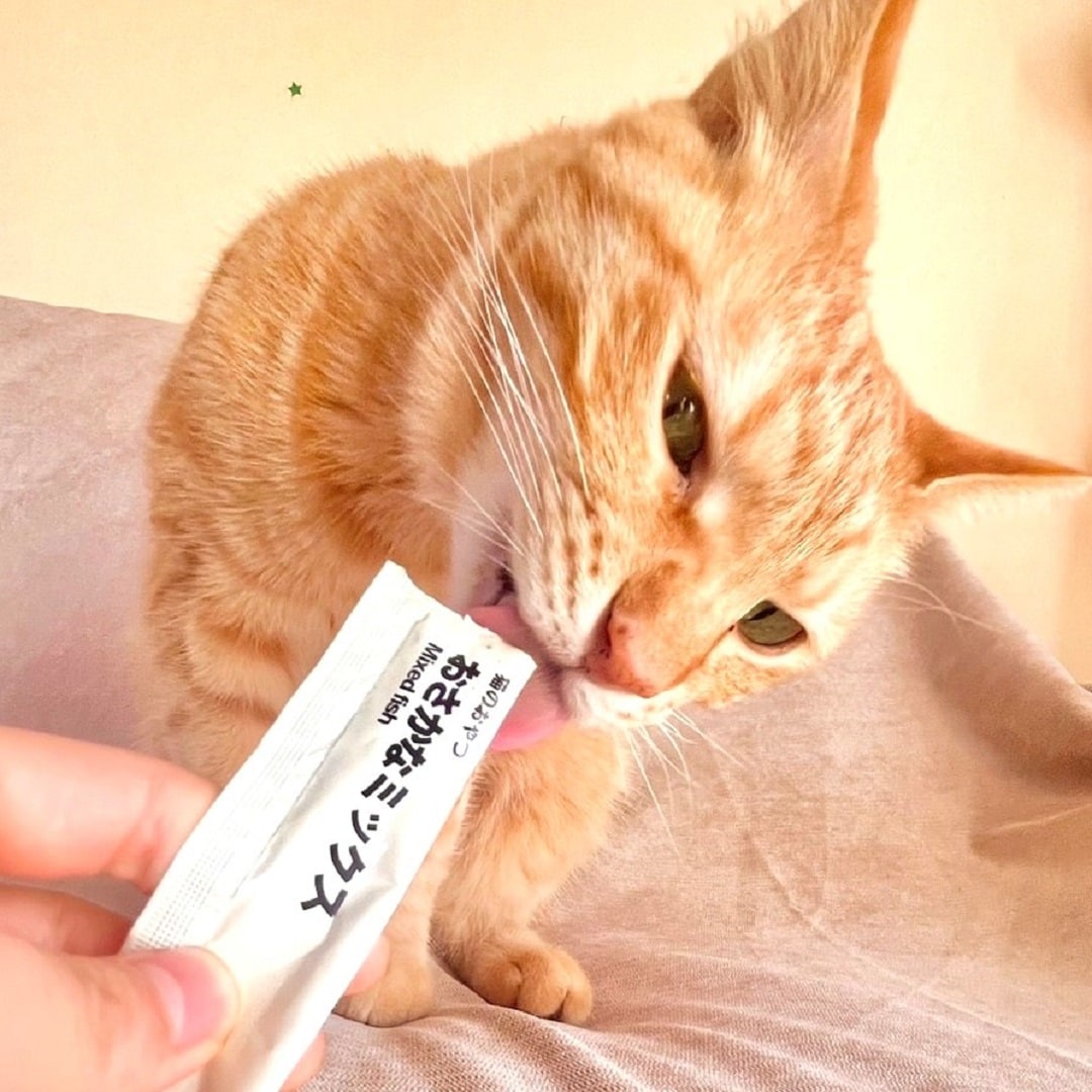【ザ・モール仙台長町】素材を生かした猫のおやつ