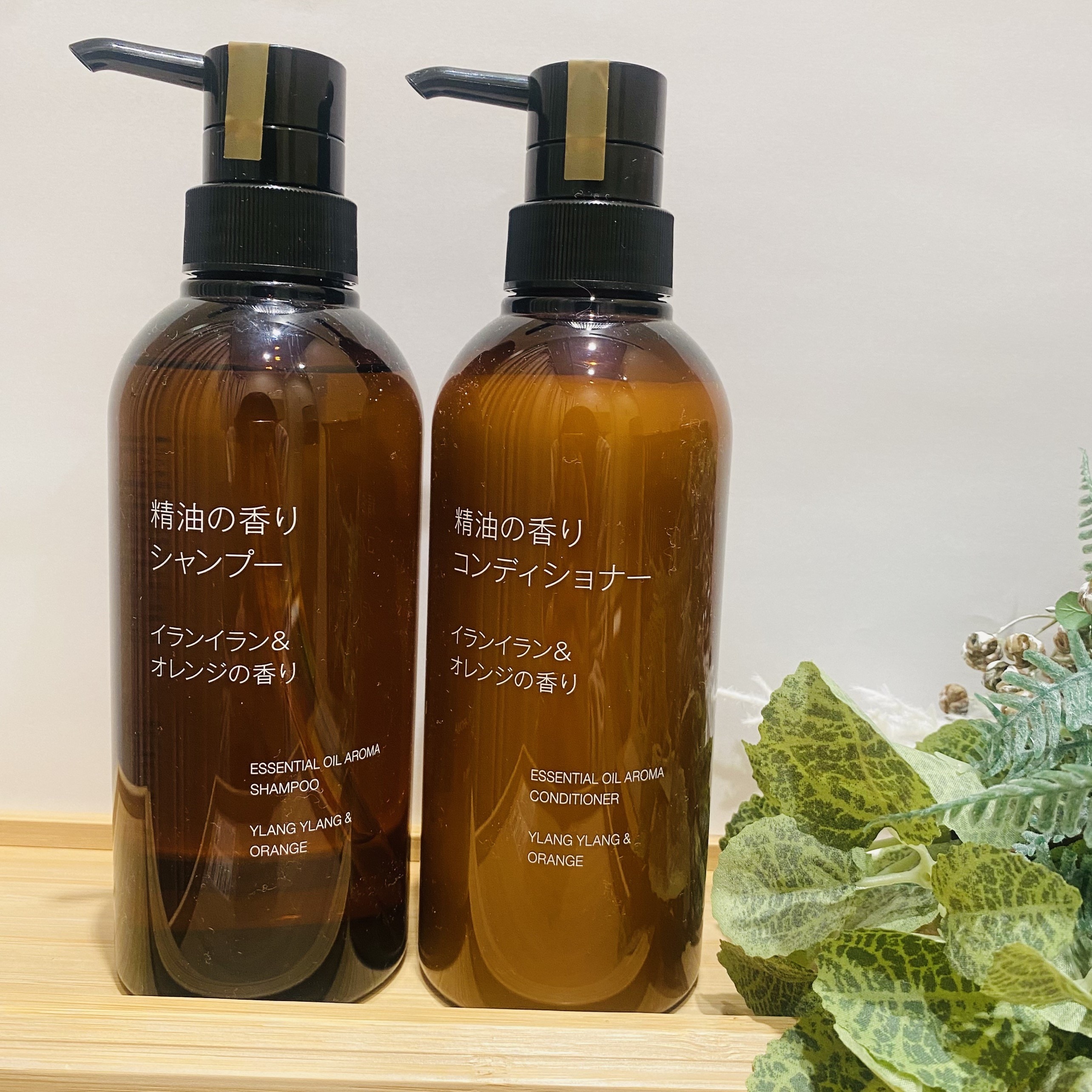 イランイランシャントリ
