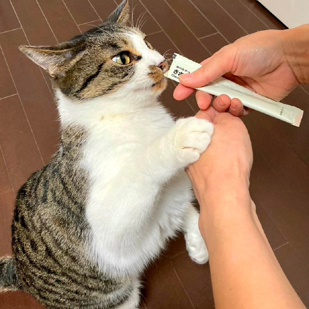 おやつを催促