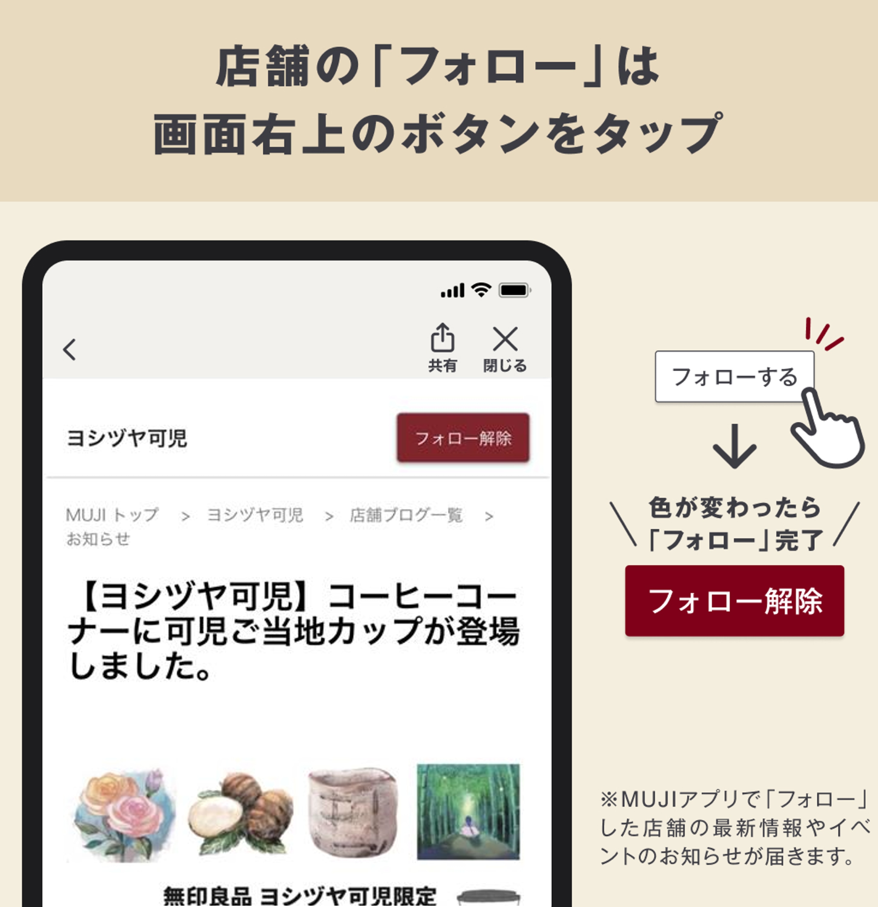 スタッフのおすすめ
