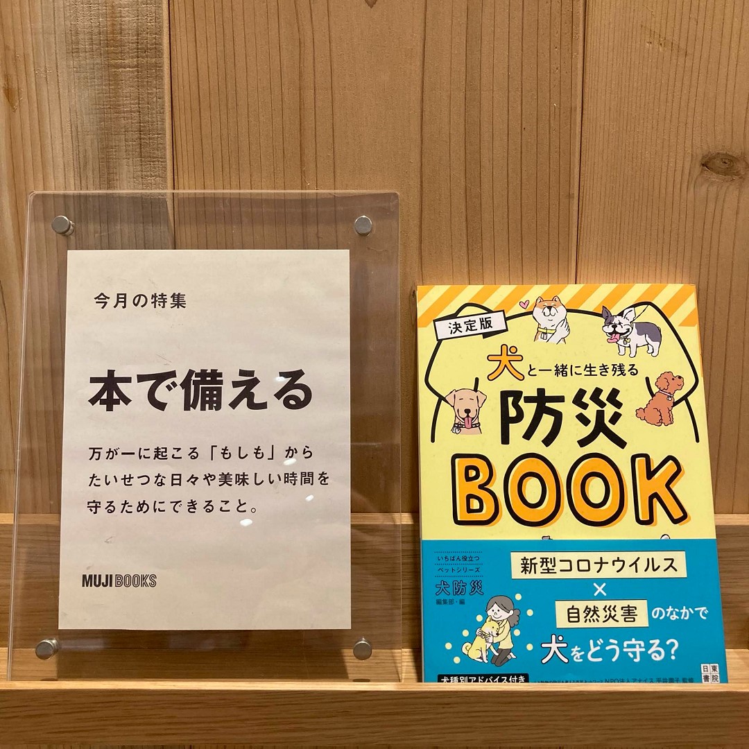 防災の画像２