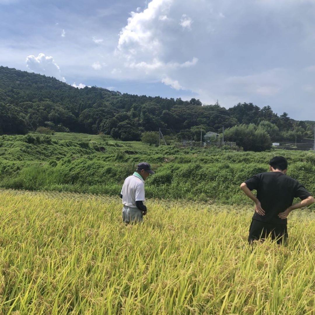 【MUJI to GO成田国際空港第２ターミナル】カレーに合うお米「プリンセスサリー300g」　発売中！
