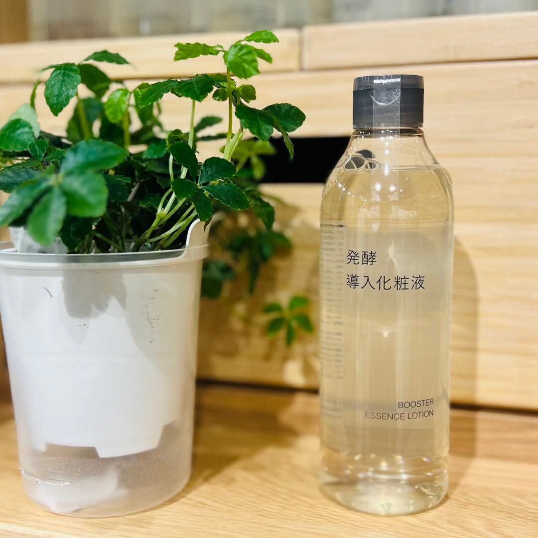 化粧液