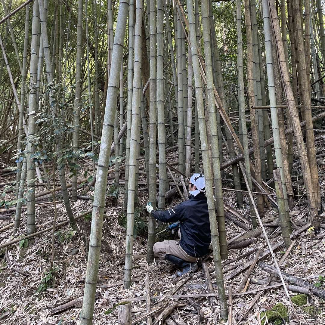 竹細工　講師写真