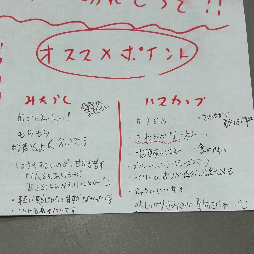 スタッフ感想