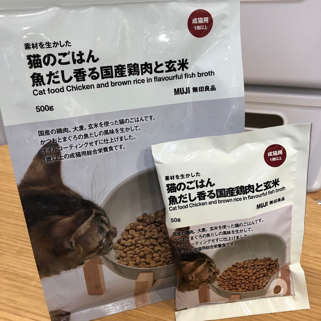 猫のご飯