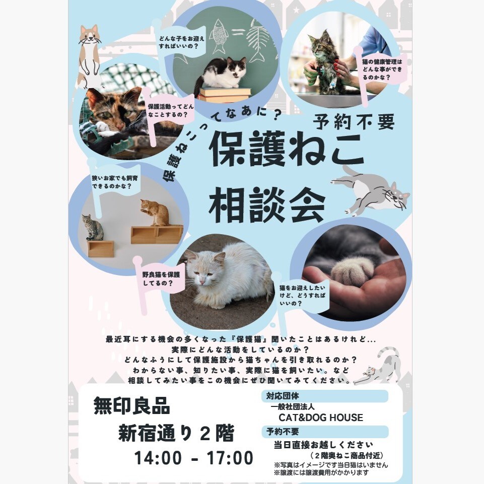 無印良品新宿通り　保護猫相談会ポスター