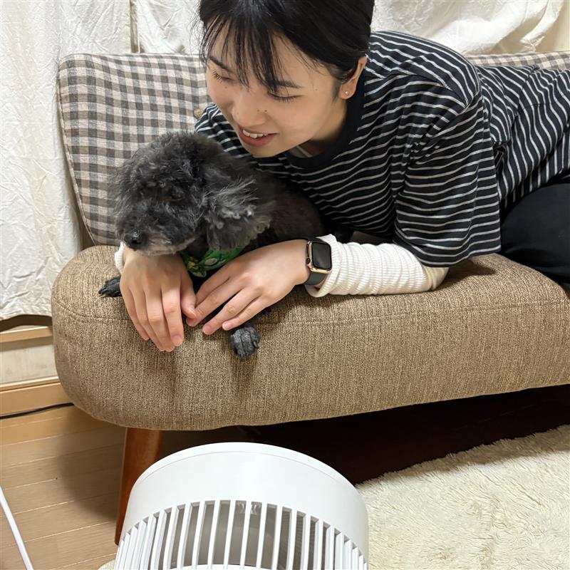 いぬ