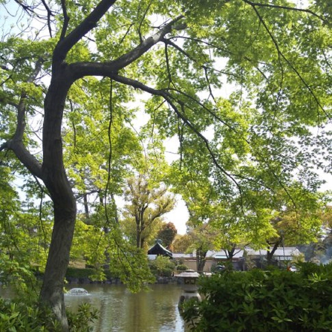 公園