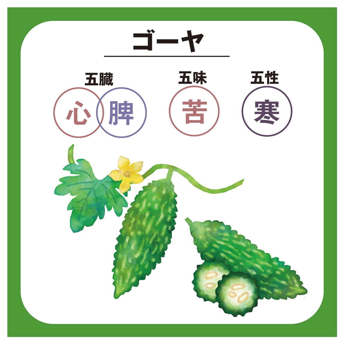ゴーヤ　画像１