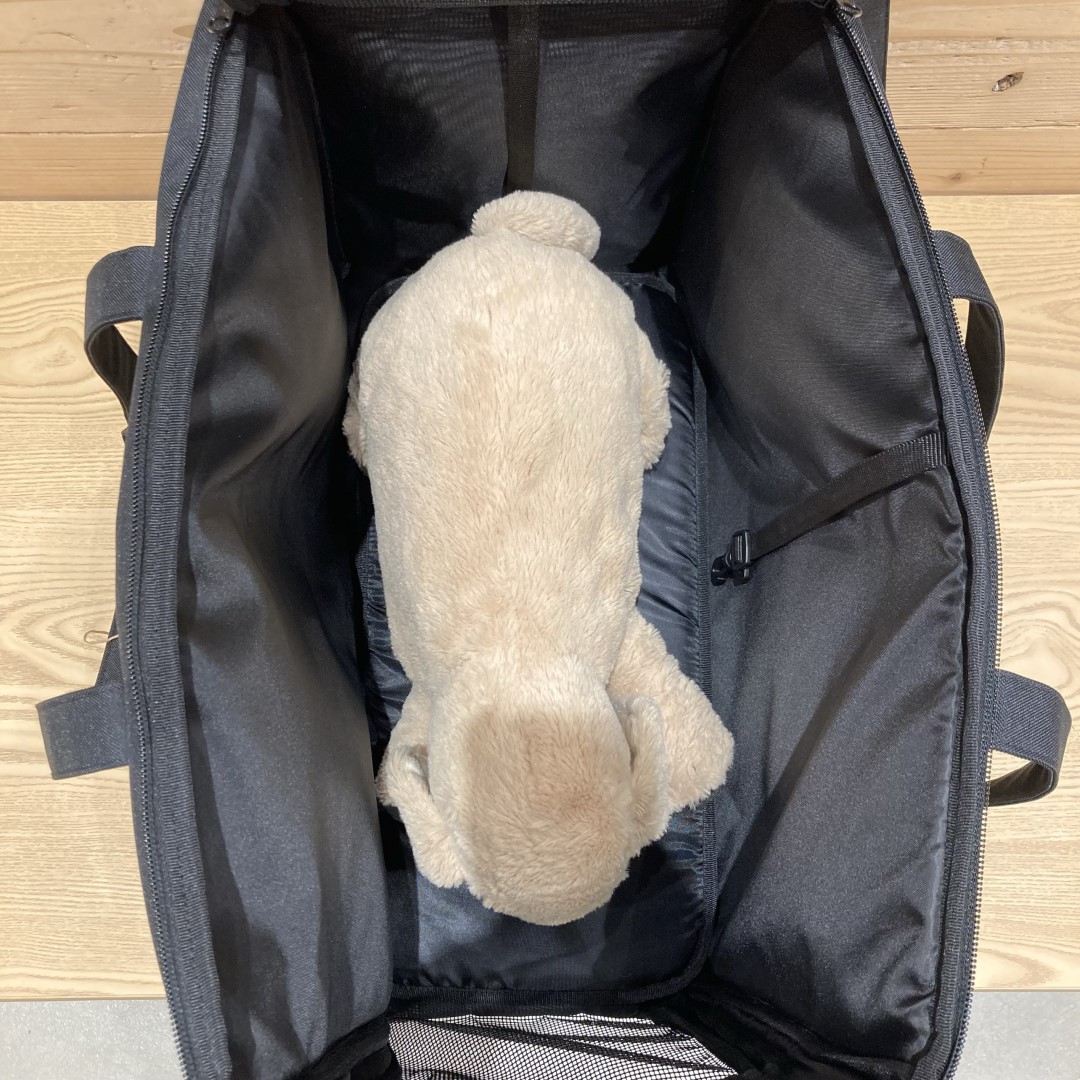 キャリーバッグ上から