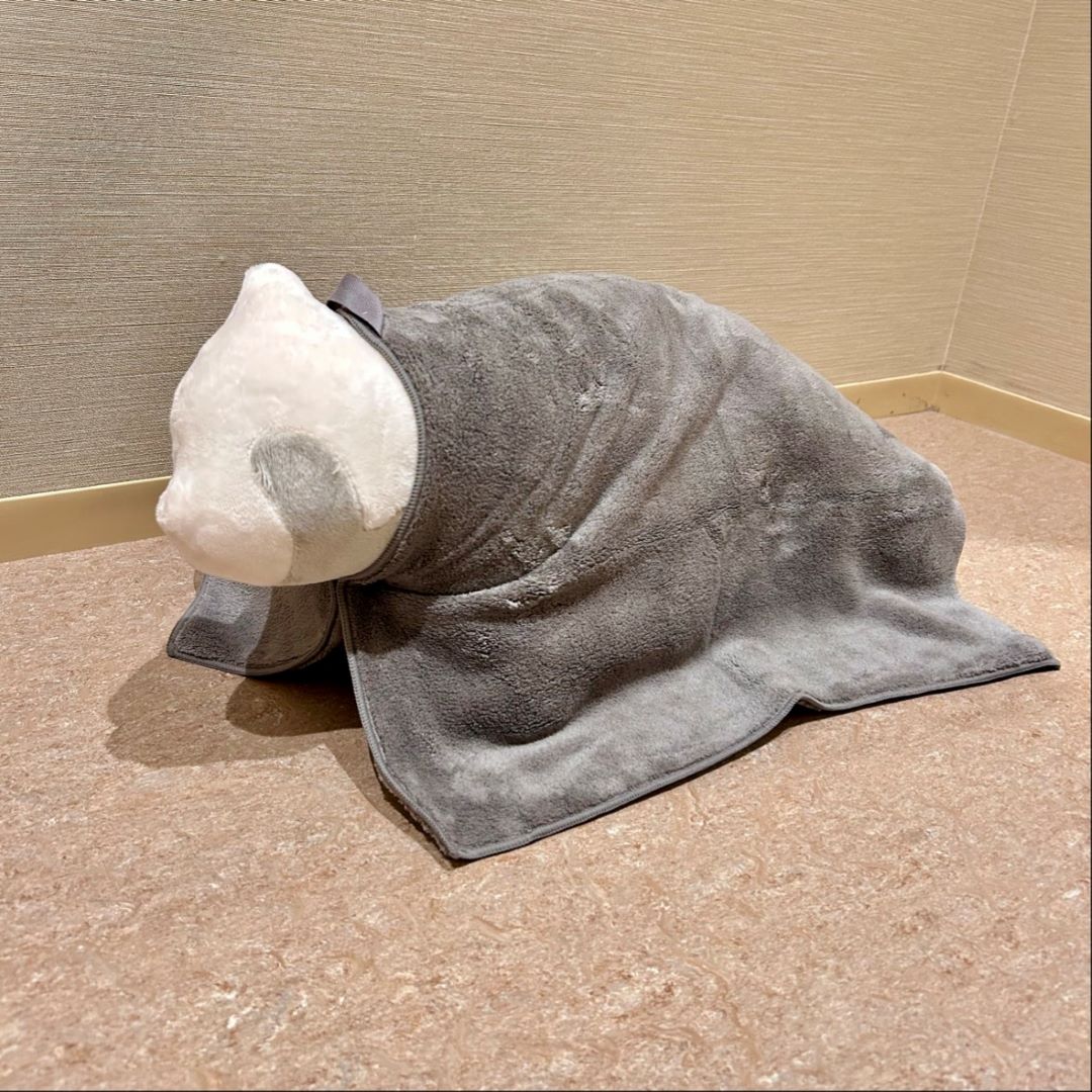 [ブルメール舞多聞]ペット用タオルのご紹介