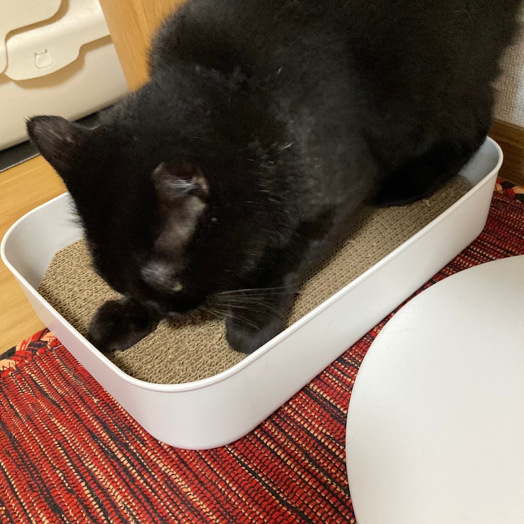 といでる