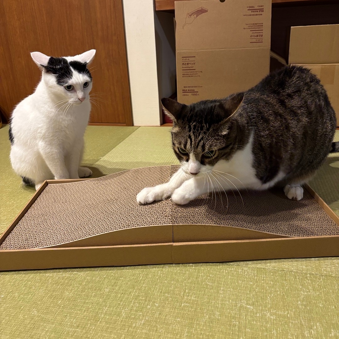 爪とぎ山型