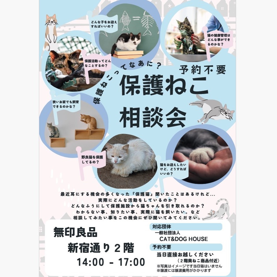 新宿通り 保護猫相談会のお知らせ