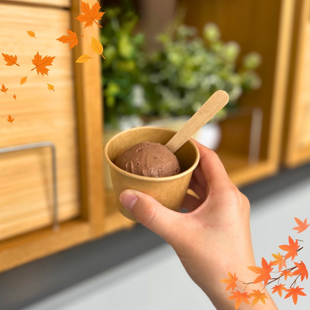 チョコナッツコーヒーアイス