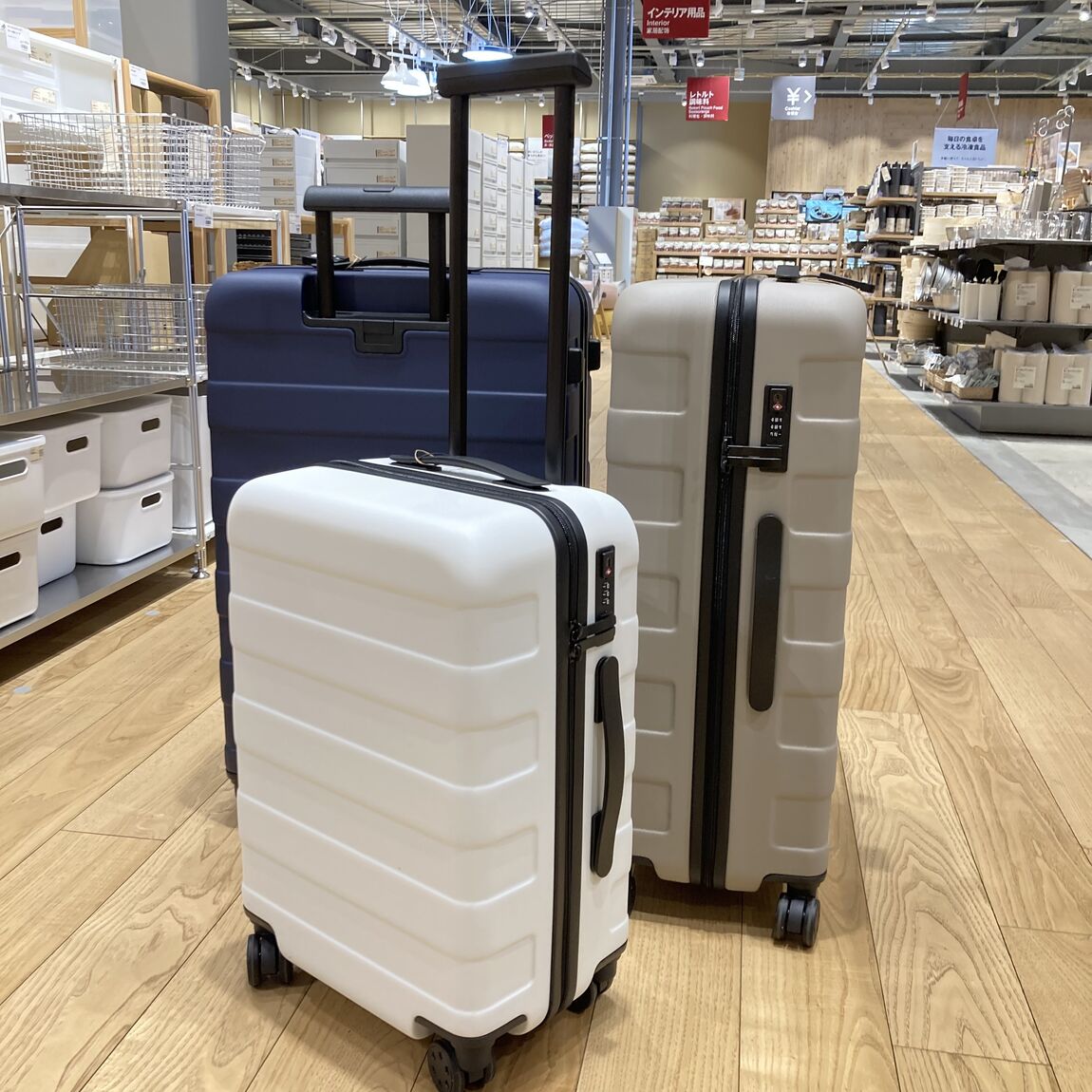 ハードキャリーケース