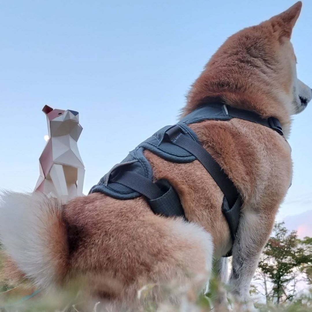 【神戸阪急】しっぽ