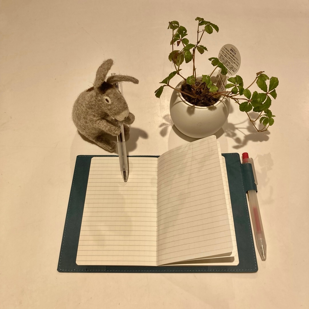 45791_20251121_01_07