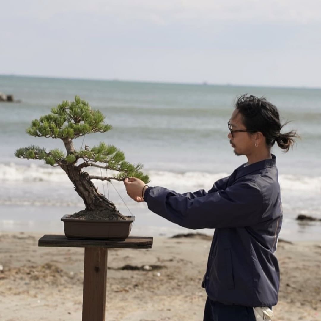 盆栽ワークショップ