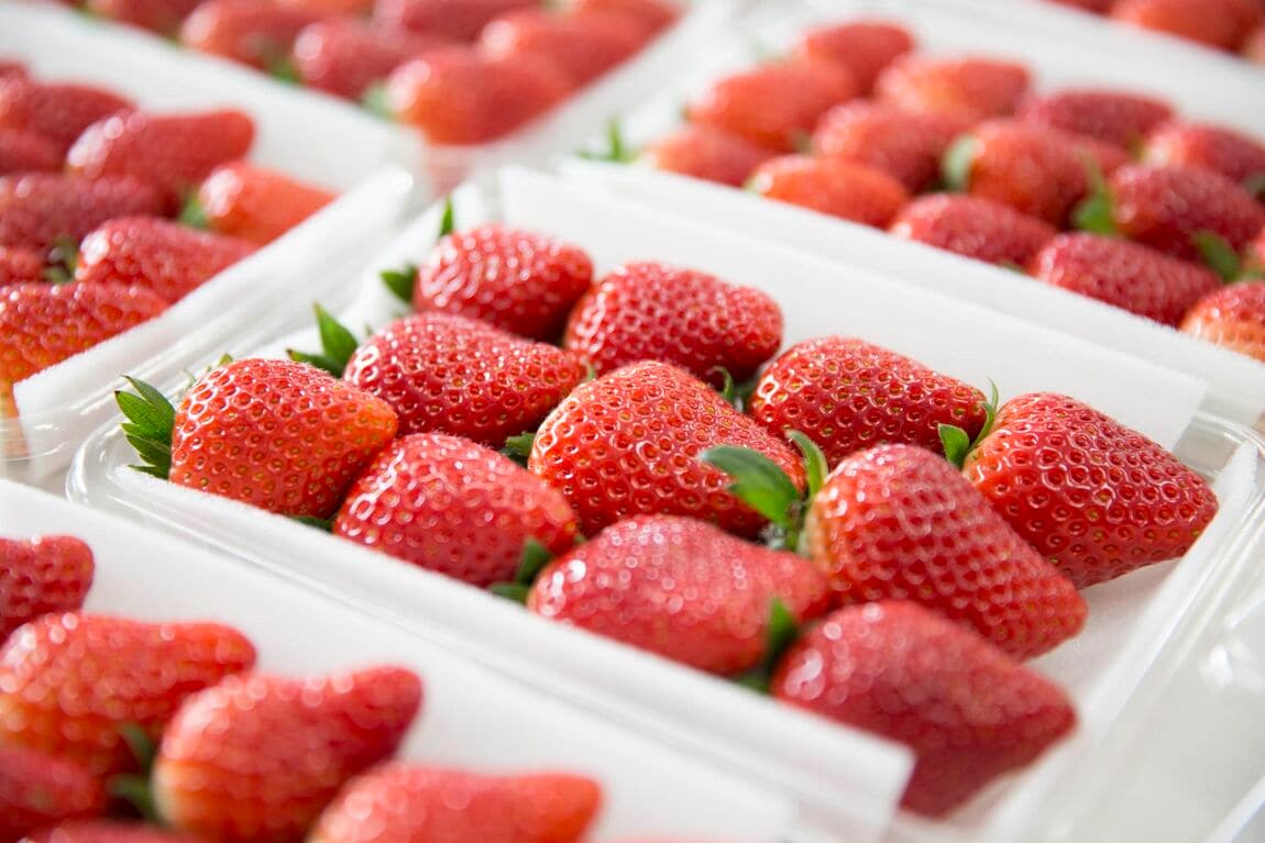 オーシャンベリー