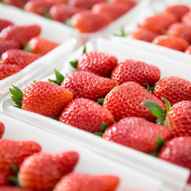 神奈川のミルフイユいちご＆バニラ