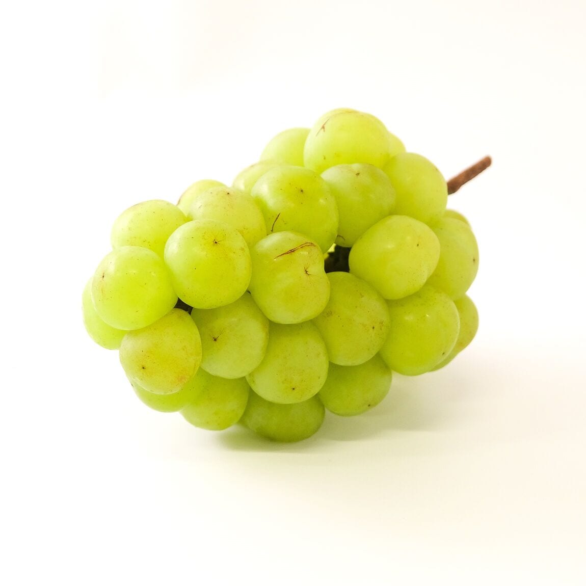 【堺北花田】月末・月初はまたがる市