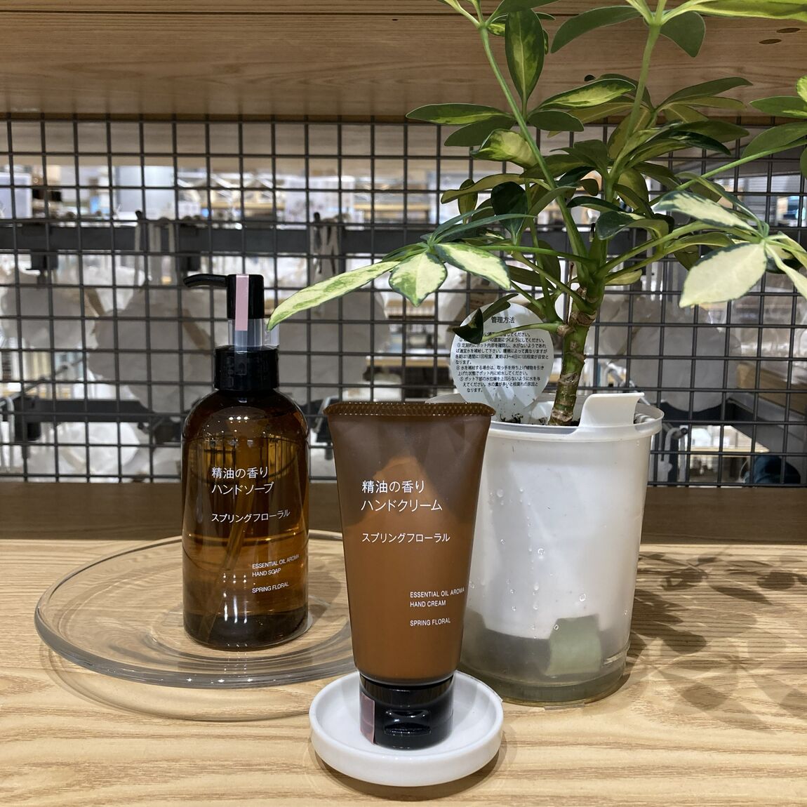 スプリング　精油