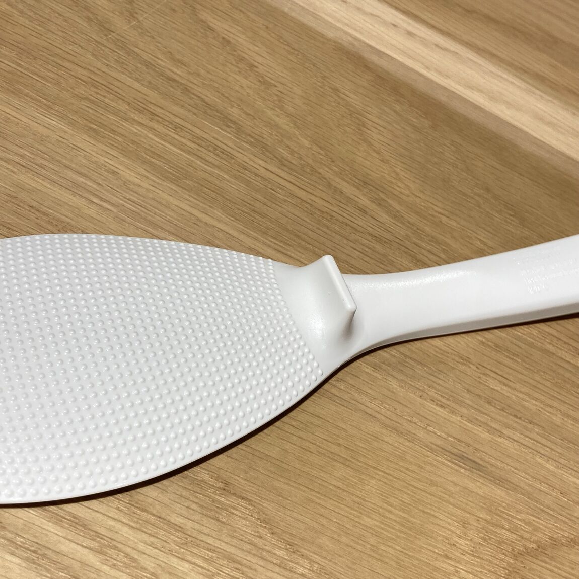 046832 260213 05.02.jp