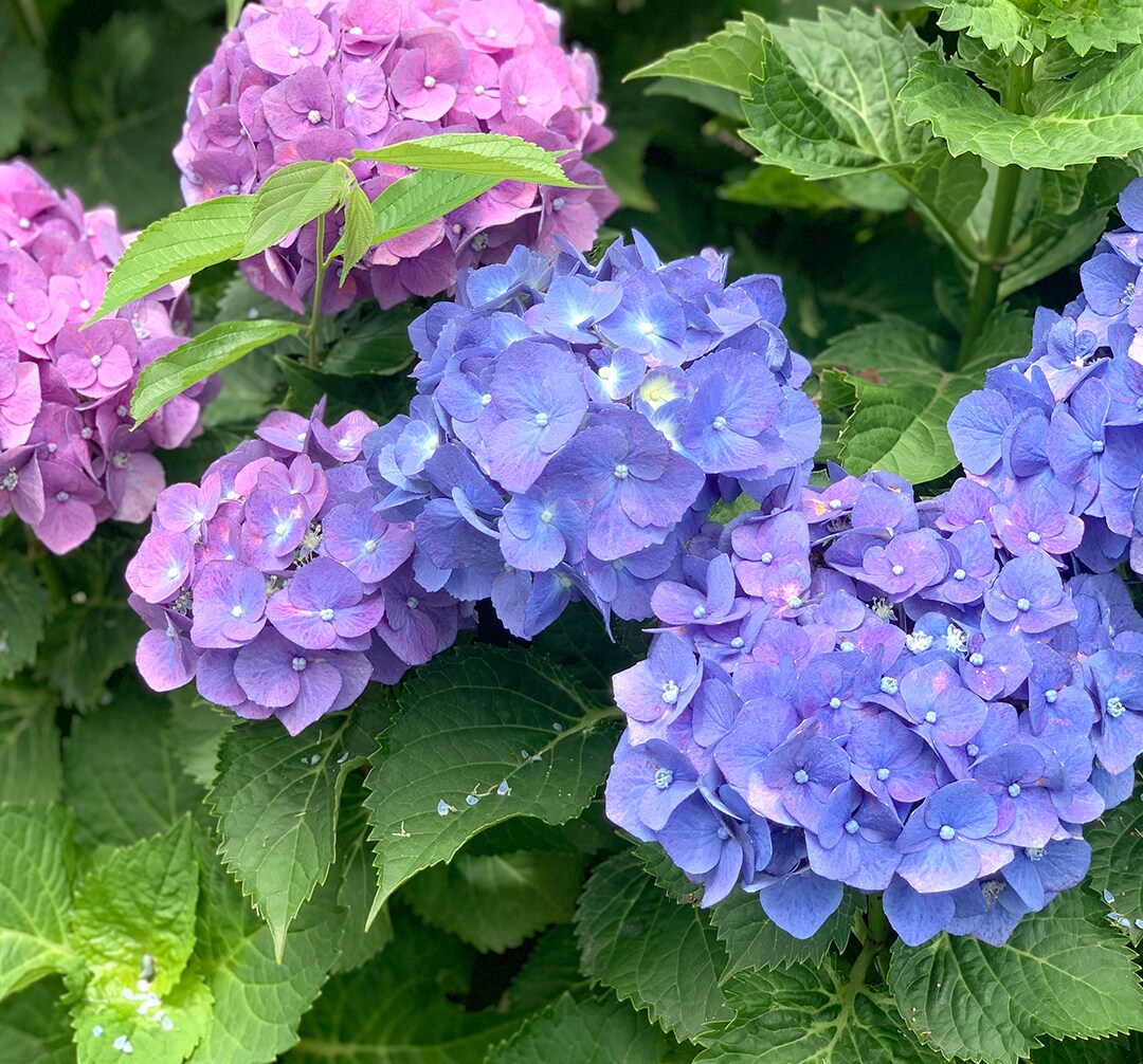 【イオンモール堺北花田】大切って気づくこと