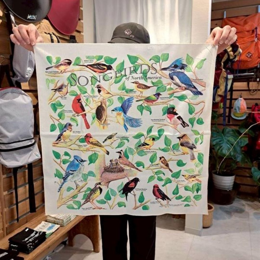 【神戸阪急】ばんだな