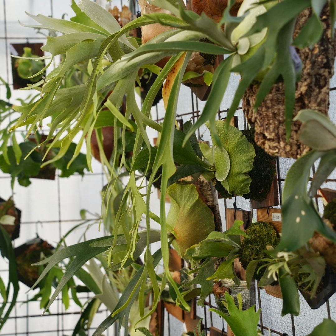 神戸阪急_つながる市