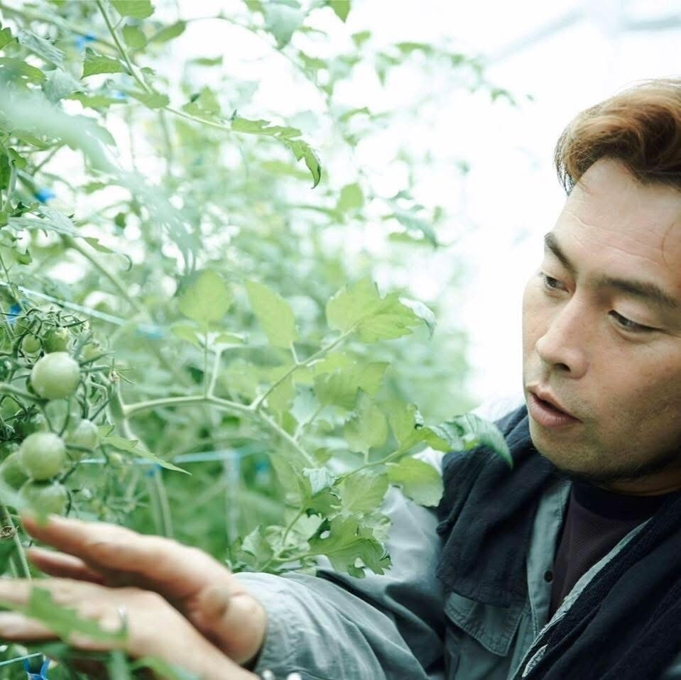 【堺北花田】みんなで学ぼう、トマトの秘密｜食育イベント