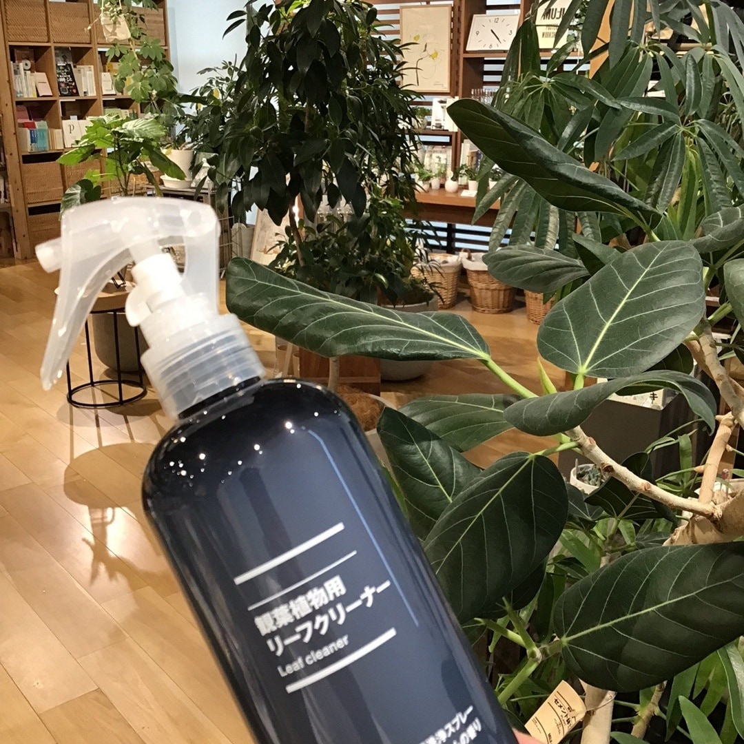 【COCOSA熊本下通】楽しかったです。
