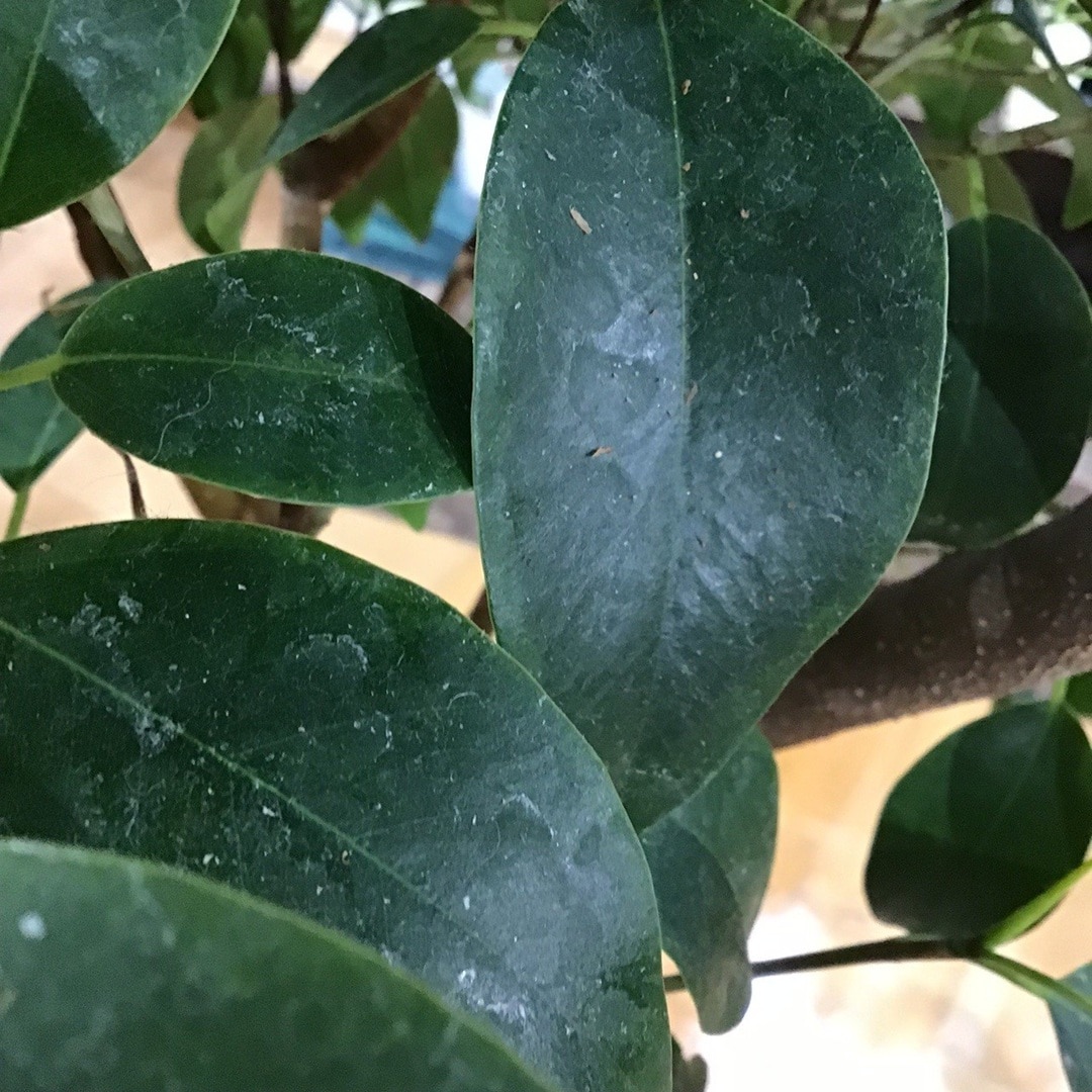 【COCOSA熊本下通】楽しかったです。