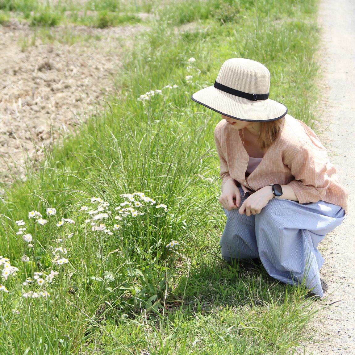さらっと綿