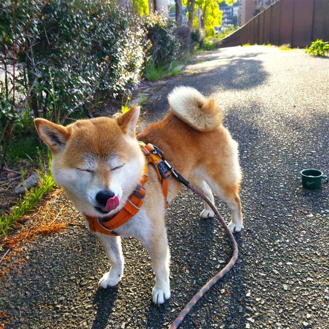 【無印良品神戸阪急】M探偵団のまちさんぽ|神戸市東灘区で香りをおいかけて_x7hjRr