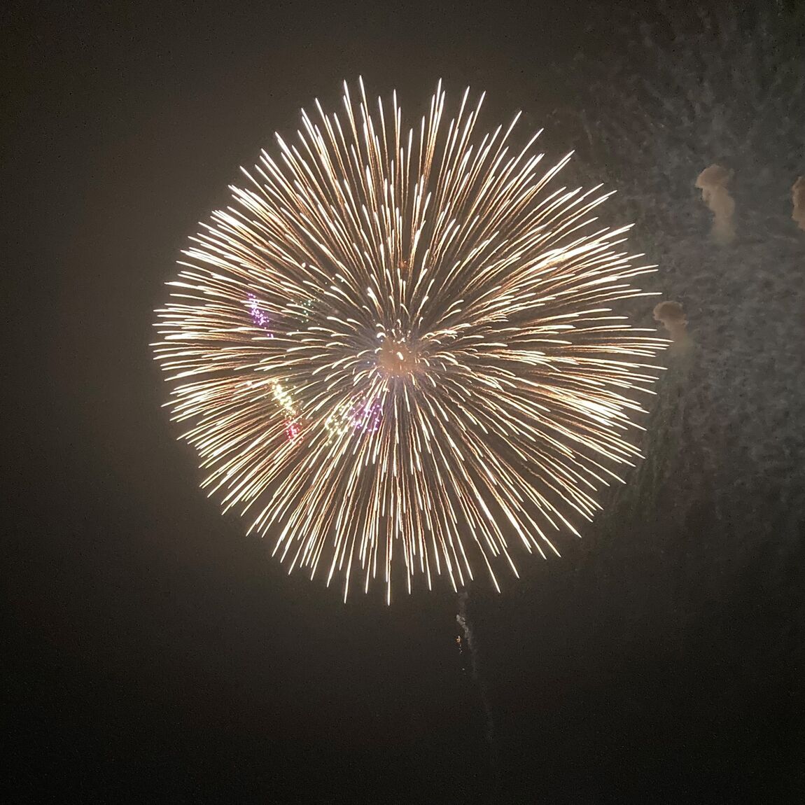 【CoCoLo長岡】 伝統と想いをつなぐ。片貝まつりの奉納花火_7uSqJb