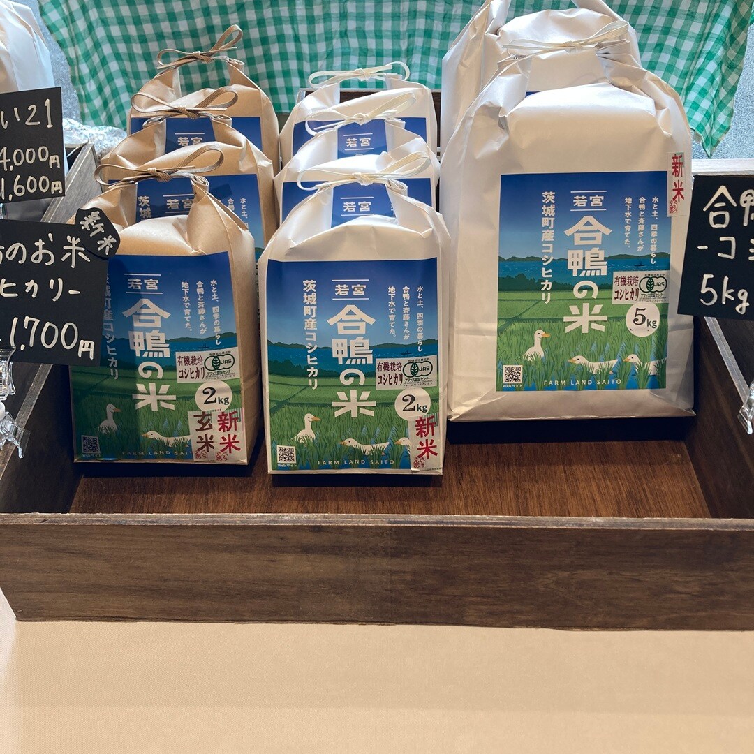 【ヨークタウン水戸】イベントレポート『秋麗つながる市』_yGzW2h