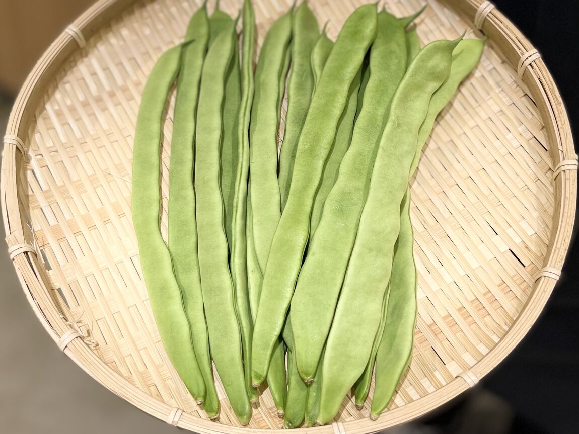 【シエスタハコダテ】初夏の地物野菜たち、ぞくぞく入荷しております｜ベジ旨だより