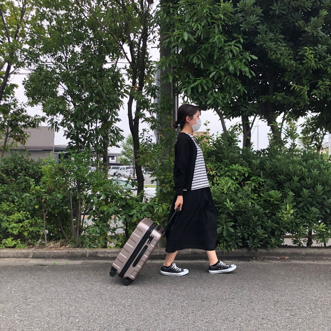 婦人キャリー