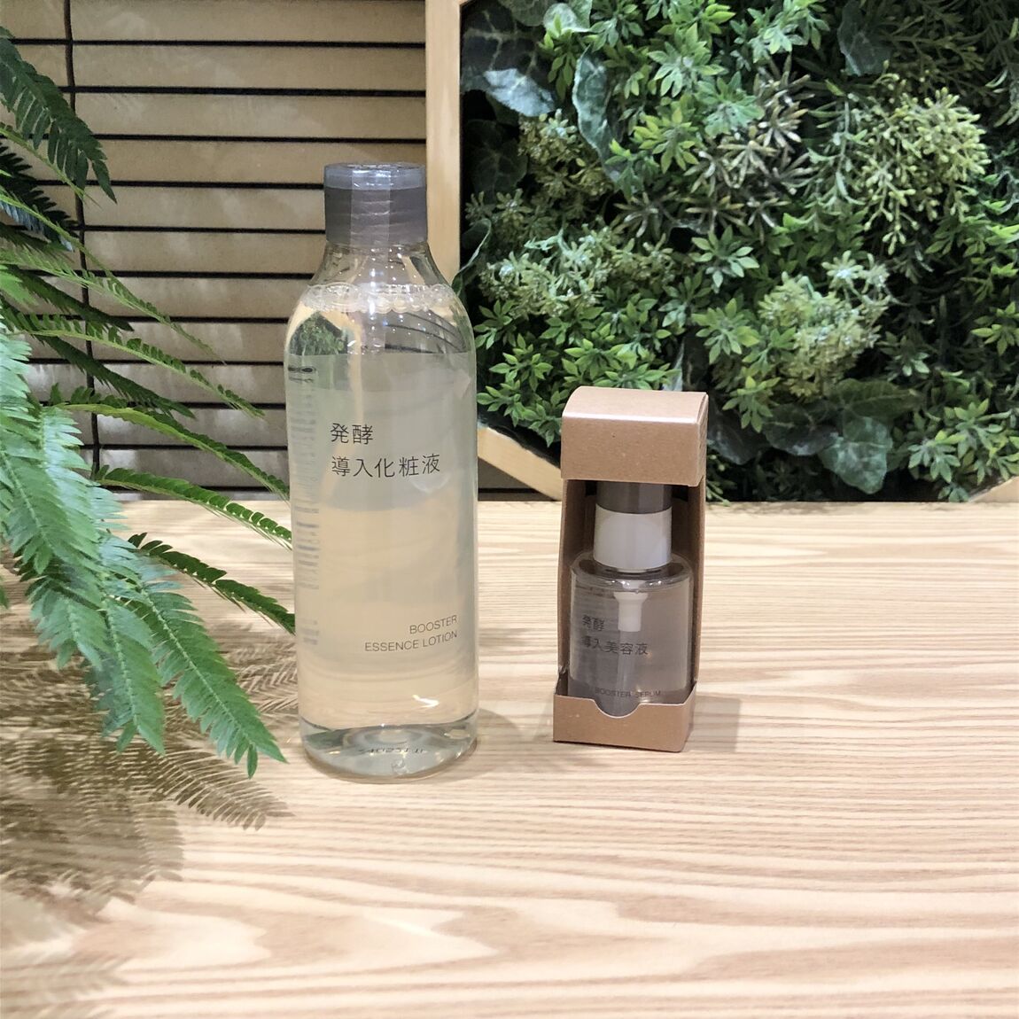 発酵導入