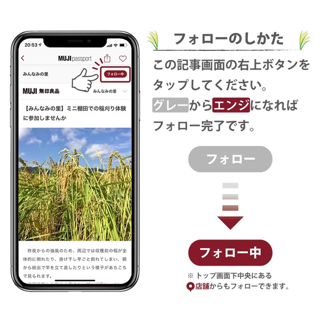 フォロー手順