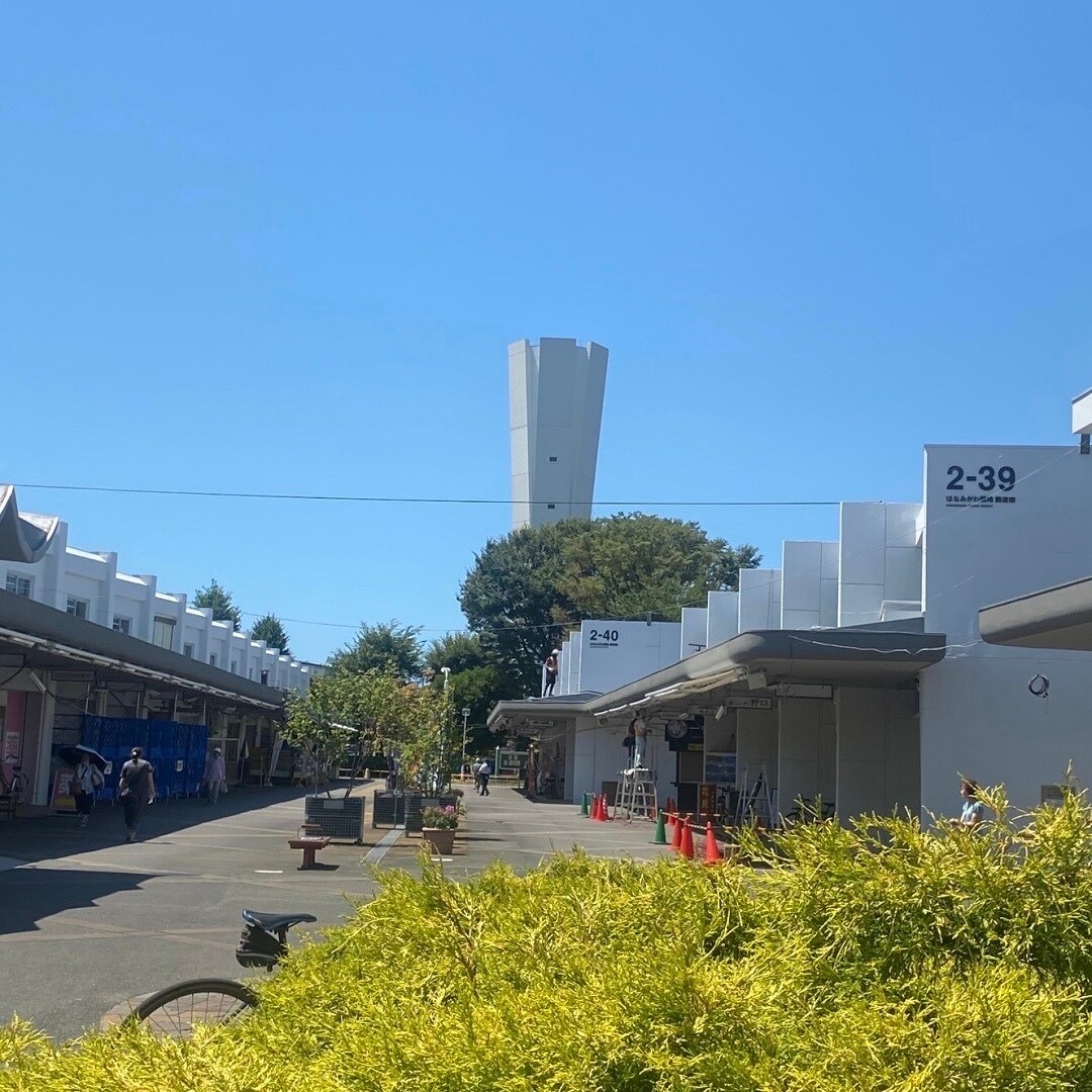 画像②商店街全景