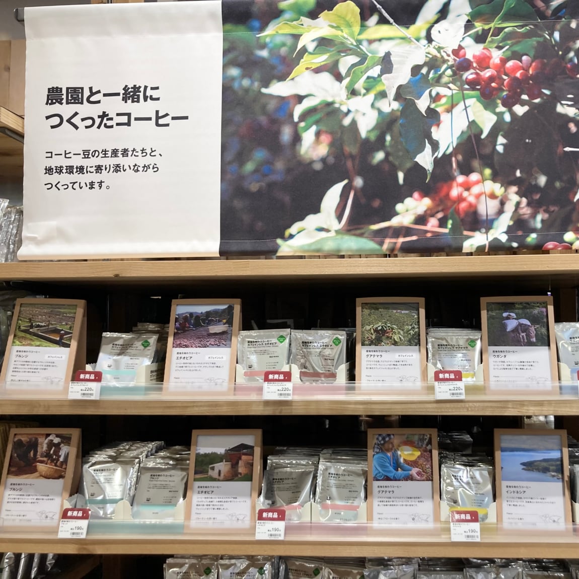 【ららぽーと沼津】産地を味わうコーヒー ▪️5つの産地ご紹介_a537cn