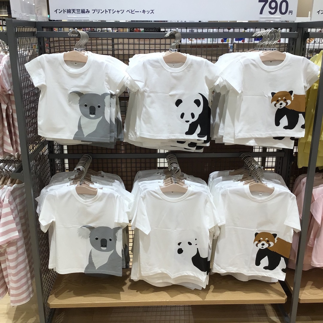 コアラ他